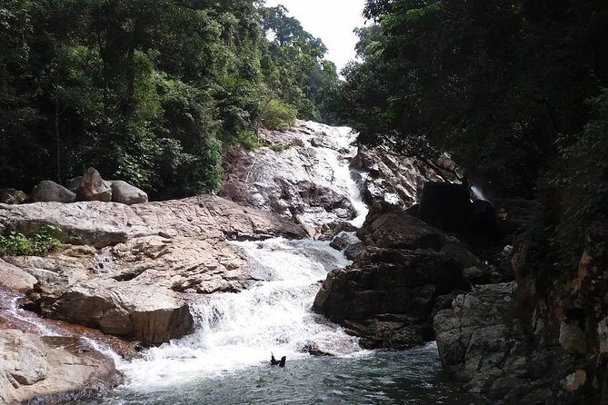 Hiking the Hin Lad Waterfall Trail - Exploring Koh Samui’s Waterfall Trail: What to Expect