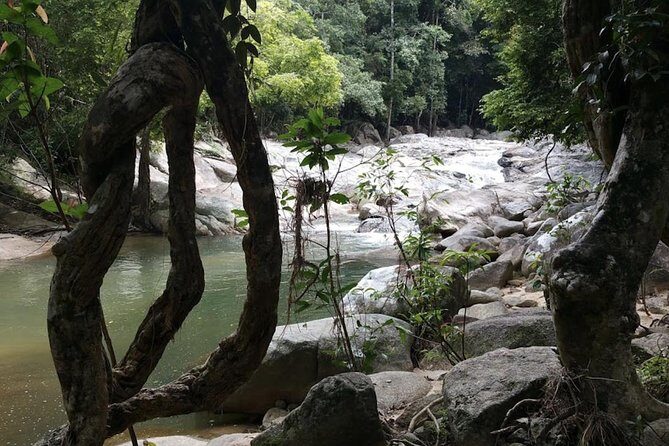 Hiking the Hin Lad Waterfall Trail - The Sum Up: Who Should Book This Tour?