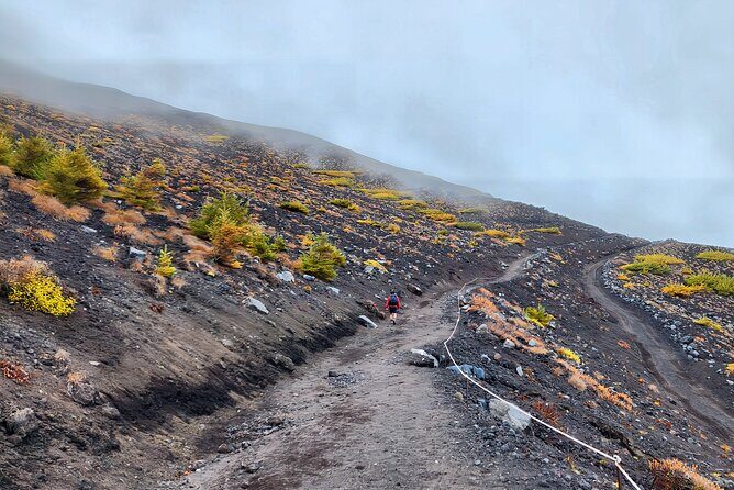 Hiking the Historic Houei-zan Crater: Mt. Fujis Volcanic Journey - Good To Know