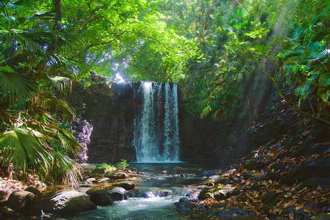 Hiking - The Wild South - Additional Information