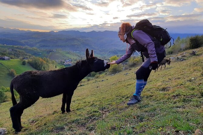 Hiking Thought the Best Mountain Villages in Romania-Private Tour From Brasov - Indulge in Traditional Romanian Cuisine