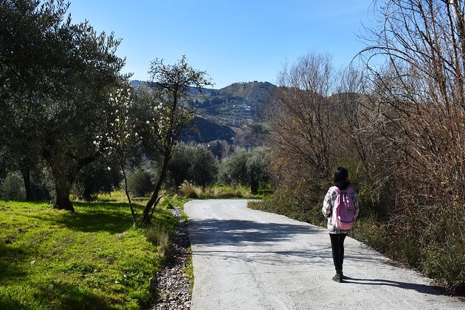 Hiking Through Los Cahorros De Monachil (Granada) - Meeting and Departure Details
