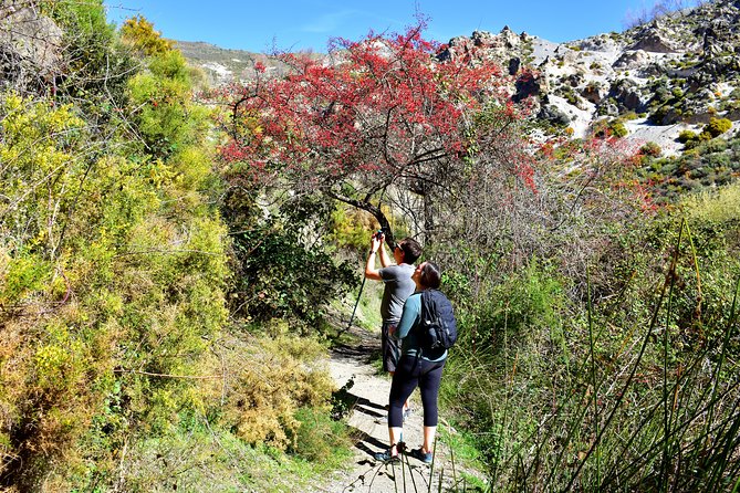 Hiking Through Los Cahorros De Monachil (Granada) - The Sum Up