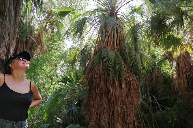 Hiking to Desert Palm Oases of San Carlos With a Biologist - Hiking Tour Details