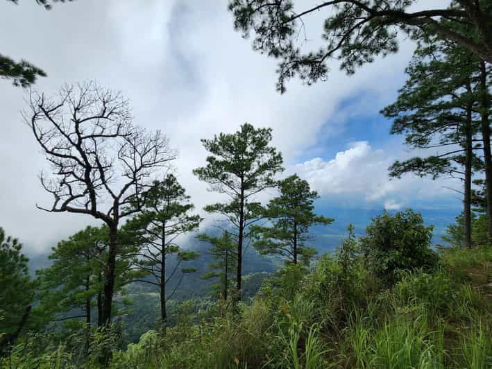 Hiking to Doi Suthep Peak& Delectable Cuisine & Wat Pha Lat. - Overview of the Adventure