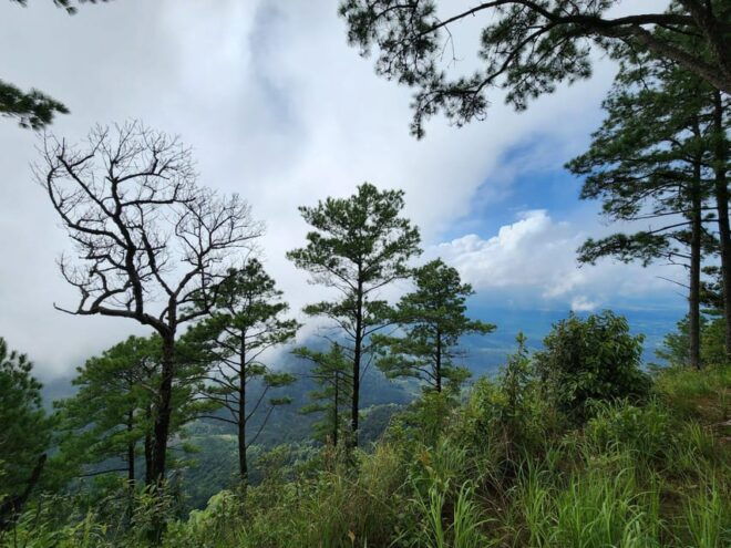 Hiking to Doi Suthep Peak& Delectable Cuisine & Wat Pha Lat. - Itinerary Breakdown