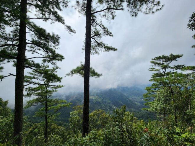 Hiking to Doi Suthep Peak& Delectable Cuisine & Wat Pha Lat. - Important Guidelines