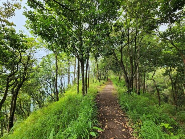 Hiking to Doi Suthep Peak& Delectable Cuisine & Wat Pha Lat. - Questions You May Have