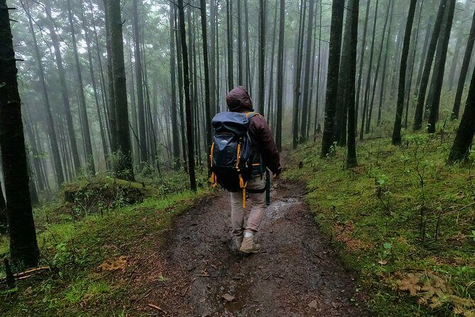 Hiking to the Puerta del Cielo Viewpoint in Mexico City - Pricing and Value