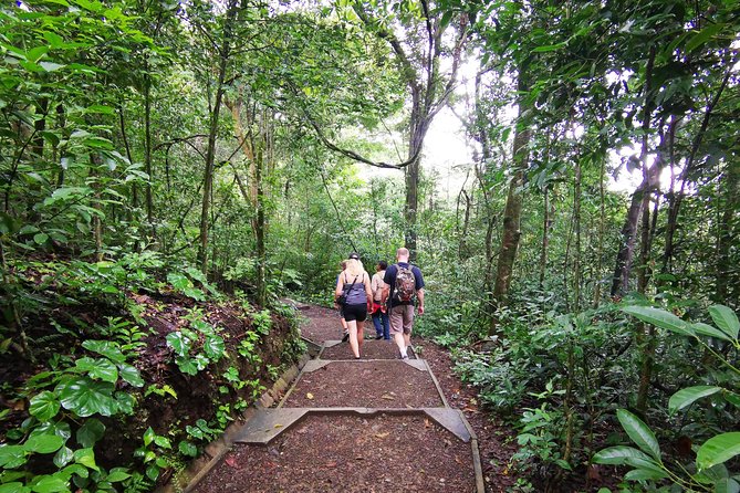 Hiking to the Rincon De La Vieja Volcano National Park Private Tour - Tour Logistics