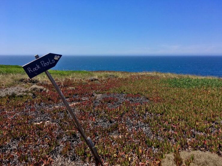 Hiking Tour Along the West Coastline - Tour Booking Information