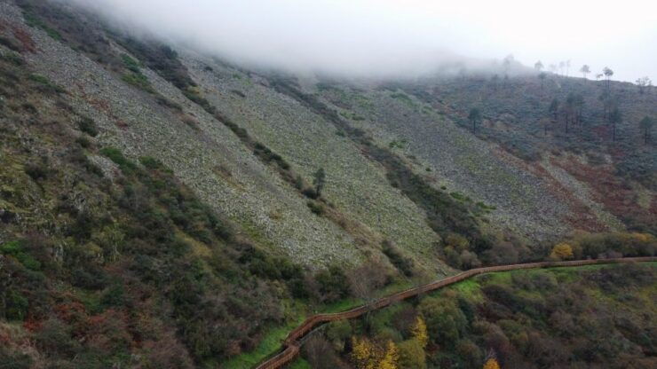 Hiking Tour at Estrela Mountains Wood Paths - Tour Details
