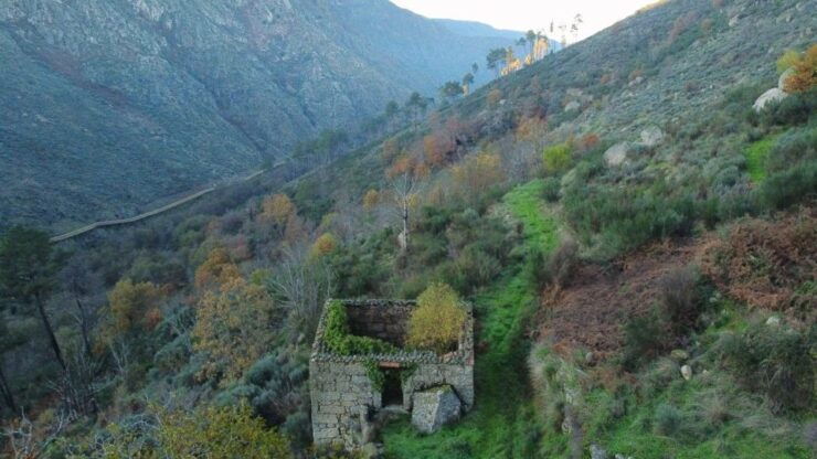 Hiking Tour at Estrela Mountains Wood Paths - Unique Experience