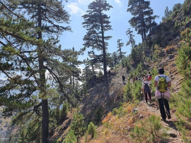 Hiking Tour At The Taurus Mountains of Alanya - Refreshments and Hydration
