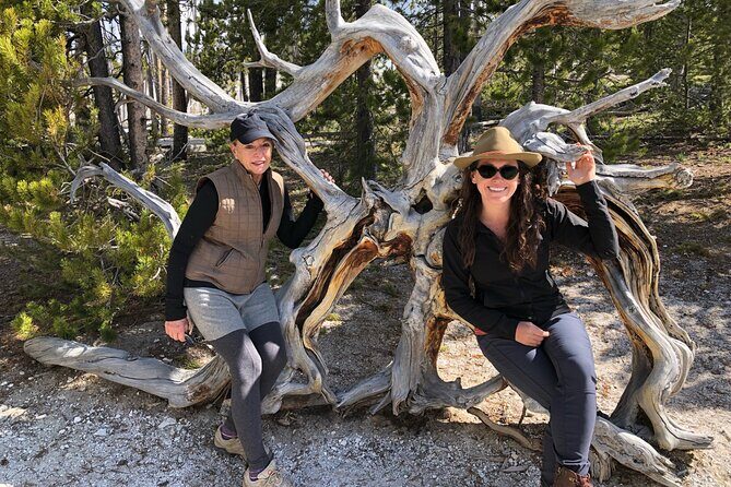 Hiking Tour: Hidden Gems | West Yellowstone | PRIVATE + Lunch - Good To Know