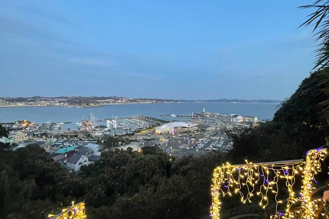 Hiking Tour in Enoshima With a Local Guide - Reviews and Testimonials