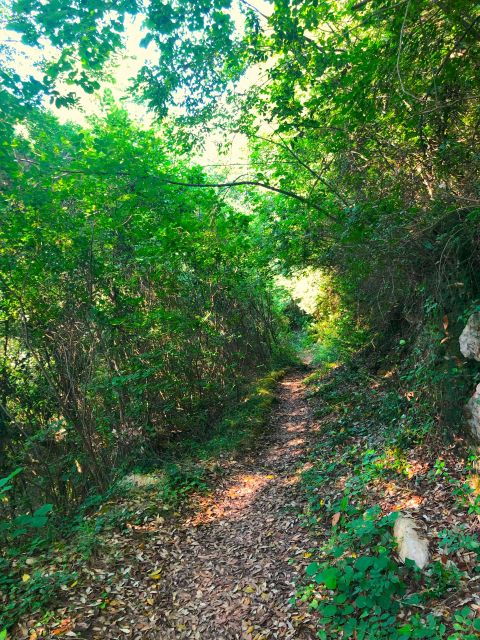 Hiking Tour in Souli Plateau, Kougi and Skala Tzavelena - Inclusions