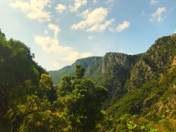 Hiking Tour in Souli Plateau, Kougi and Skala Tzavelena - Not Suitable For