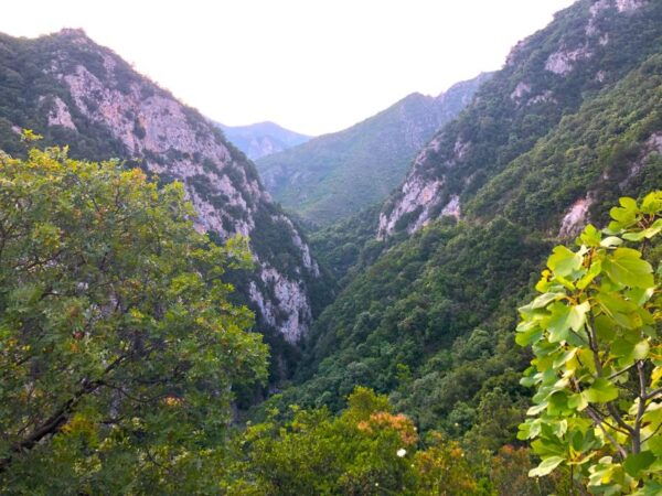 Hiking Tour in Souli Plateau, Kougi and Skala Tzavelena - The Sum Up