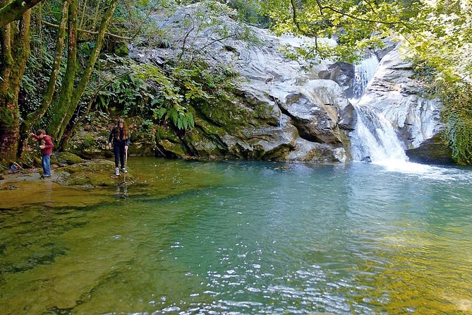 Hiking Tour Lost in the Forest - Tour Overview
