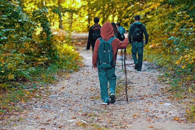Hiking Tour Lost in the Forest - Forest Exploration