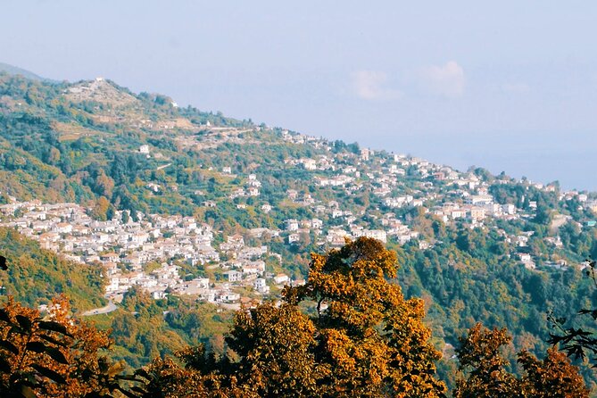 Hiking Tour Lost in the Forest - The Sum Up