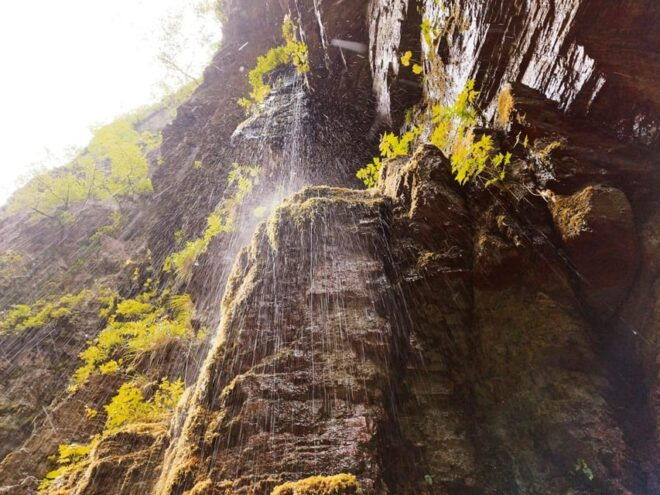 Hiking Tour: Orrido Di Botris Canyon - Participant Requirements and Restrictions