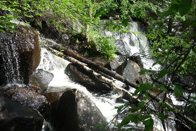 Hiking Tour to Korouoma Canyon - Inclusions and Exclusions