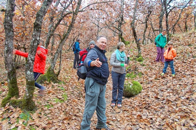 Hiking Tour to Meteora From Kalambaka - Local Agency - The Sum Up