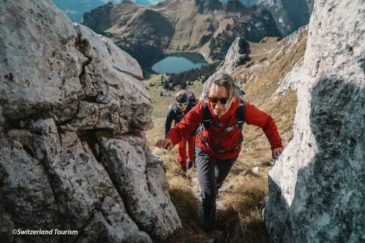 Hiking Tour to Stockhorn and Lakeside Picnic From Zurich - Scenic Gondola Ride to Hiking