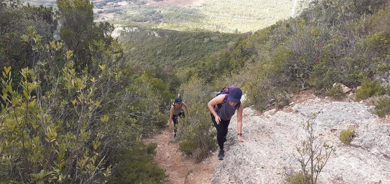Hiking Tour to the highest point of Arrábida Mountain - Deep Dive: The Itinerary and Details