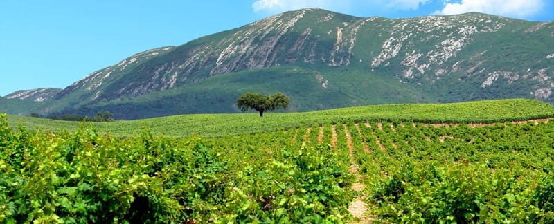 Hiking Tour to the highest point of Arrábida Mountain - Final Thoughts