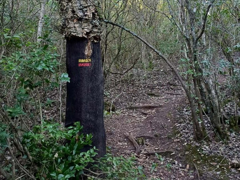 Hiking Tour to Top of Arrabida Mountain - Final Takeaway
