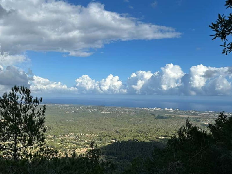 Hiking tour with a dream view of the former monastery of Sant Salvador, 3-4 hours. - Final Thoughts: Who Will Love This Experience?