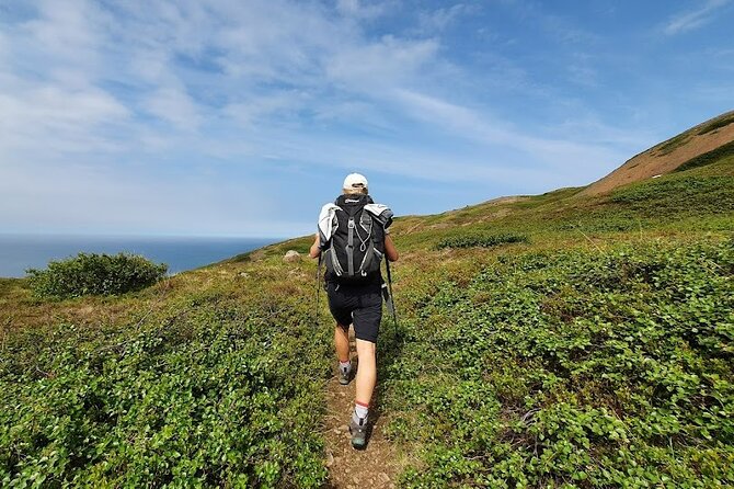 Hiking Tours in Troll Peninsula - Questions and Contact Information