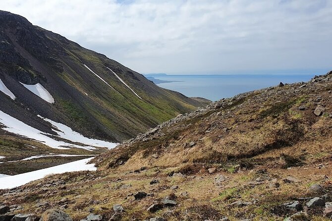 Hiking Tours in Troll Peninsula - Common Questions