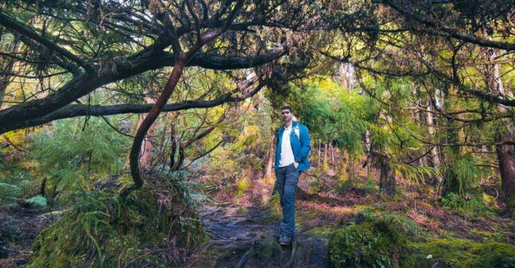 Hiking Trails - Benefits of Hiking for Health