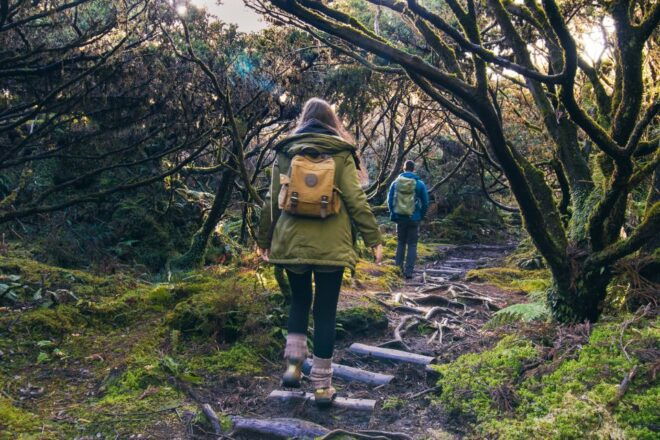 Hiking Trails - Tips for Beginner Hikers