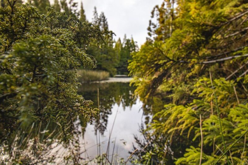 Hiking Trails - Why This Tour Offers Great Value