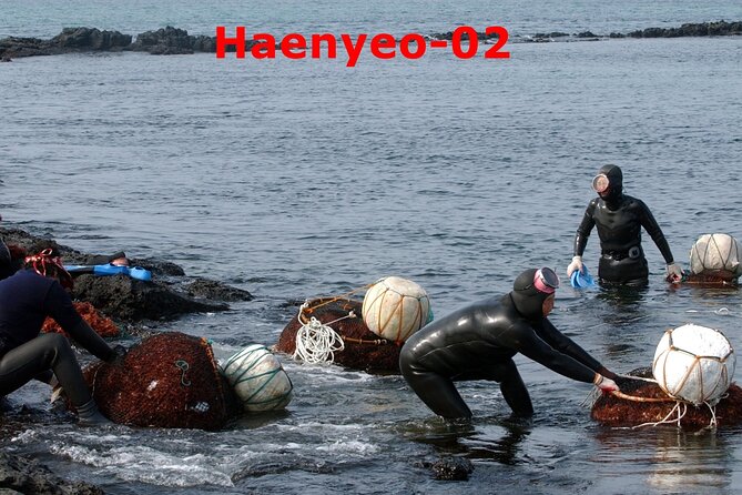 Hiking Trekking & Temple Stay 12days 11nights - Additional Information and Booking Details