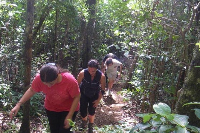 Hiking Trip – Black River Gorges Park - Good To Know