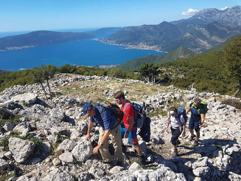 Hiking Vrmac peninsula with panoramic view on Kotor bay - Exploring the Vrmac Peninsula: An Authentic Montenegro Hiking Experience