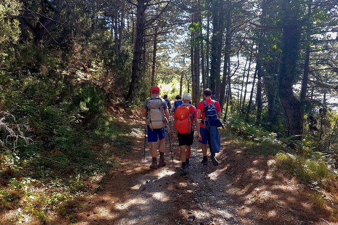 Hiking Vrmac Peninsula With Panoramic View on Kotor Bay - Important Reminders