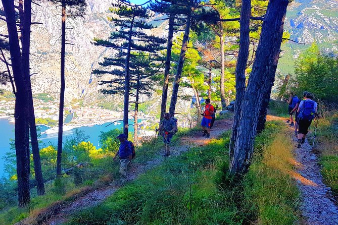 Hiking Vrmac Peninsula With Panoramic View on Kotor Bay - Pricing and Customer Reviews
