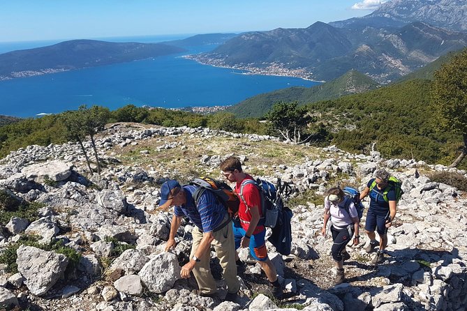 Hiking Vrmac Peninsula With Panoramic View on Kotor Bay - Directions and Logistics
