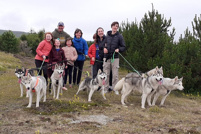Hiking With Husky in Akureyri - Equipment Provided