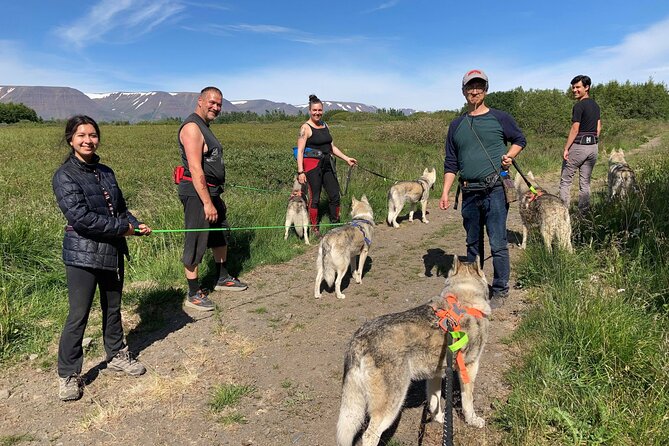 Hiking With Husky in Akureyri - Pickup and Meeting Options