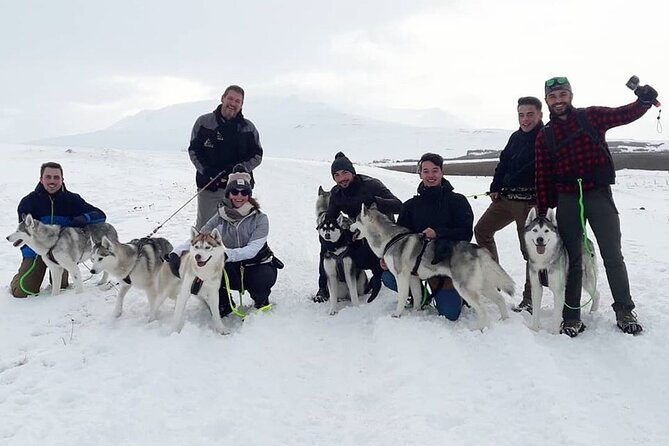 Hiking With Husky in Akureyri - Reviews and Testimonials