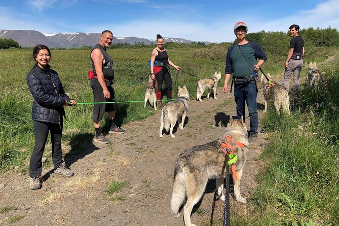 Hiking With Husky in Akureyri (Private) - Unique Twist to Traditional Hiking