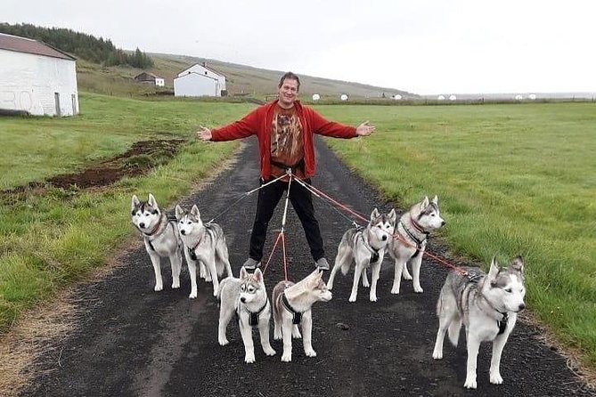 Hiking With Husky in Akureyri (Private) - Access to Stunning Mountain Views